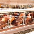 2014 meistverkaufte China Hersteller Huhn Batterie Käfig